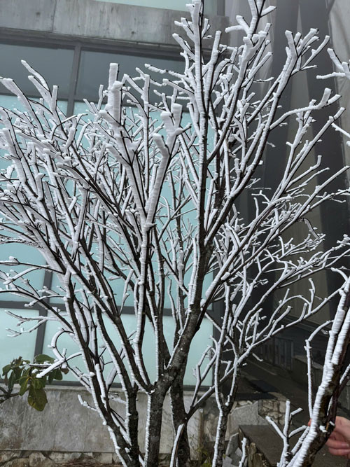 Tuyết rơi trên đỉnh Fansipan Ảnh 3