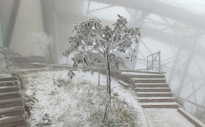 Tuyết rơi trên đỉnh Fansipan Ảnh 2