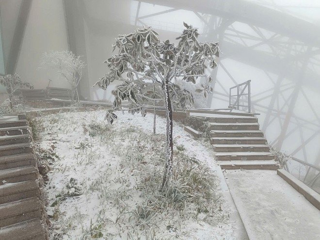 Tuyết rơi trên đỉnh Fansipan Ảnh 1