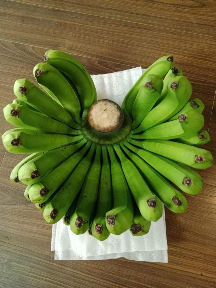 Nải chuối được trả giá cao ngất ngưỡng, từ mức 1.5 triệu đồng lên đến 7 triệu đồng nhưng chủ nhân nhất quyết không bán. Ảnh: Nguyễn Quang Huy