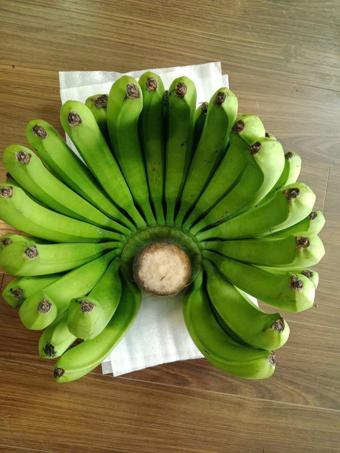 Ngay sau khi hình ảnh về nải chuối này xuất hiện trên mạng xã hội lập tức nhận được nhiều sự quan tâm của cộng đồng mạng. Ảnh: Nguyễn Quang Huy