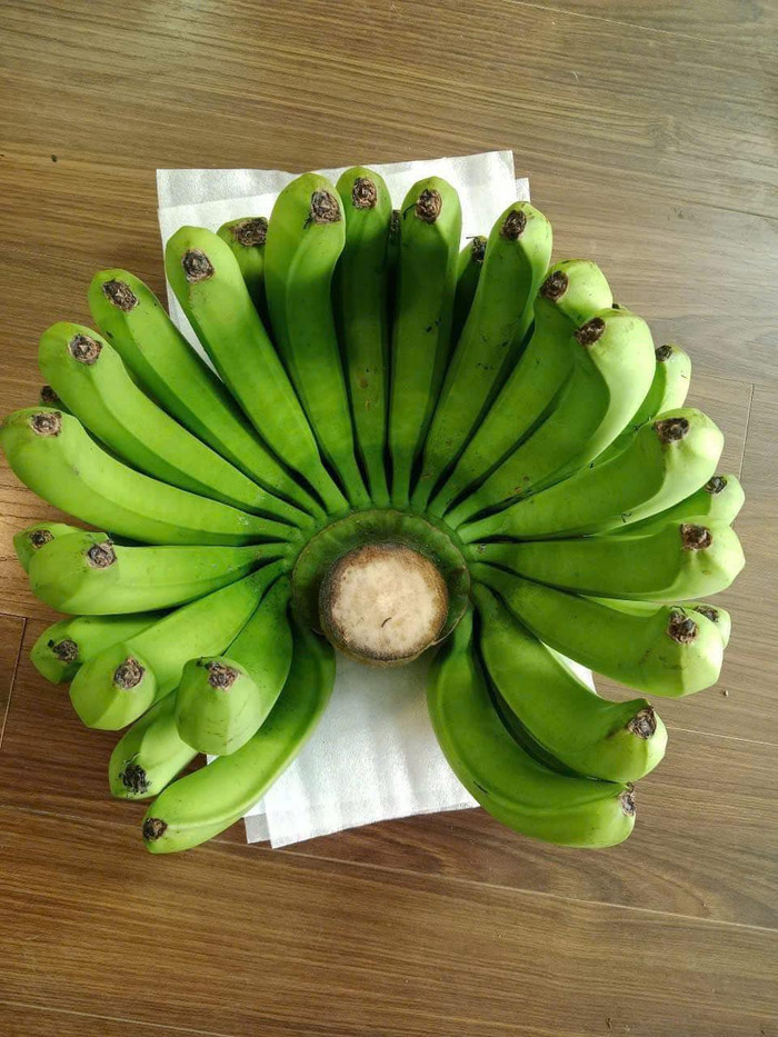 Nải chuối cực đẹp mắt khiến nhiều người trầm trồ. Ảnh: Nguyễn Quang Huy