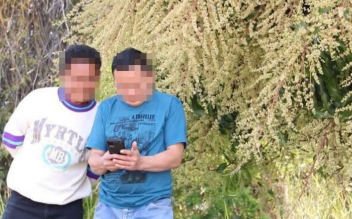 Cây xoài 70 năm tuổi bỗng xảy ra hiện tượng lạ, người dân đổ xô đến chứng kiến Ảnh 2