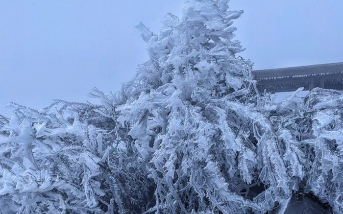 Miền Bắc sắp đón không khí lạnh mạnh kèm băng giá Ảnh 2