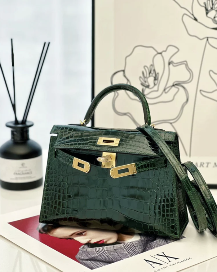 Chiếc túi xách Hermes Crocodile Kelly bị trộm.
