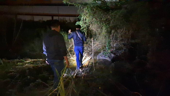 Đi bắt cá dưới chân cầu vượt, người đàn ông bàng hoàng phát hiện thứ dưới lớp cỏ khô Ảnh 2