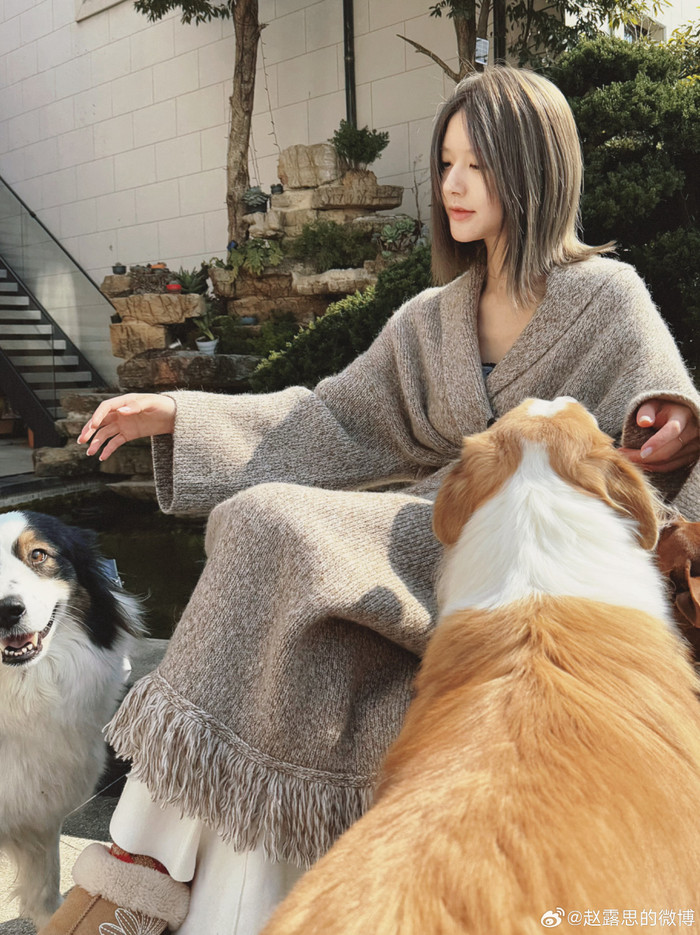 Cứ mỗi lần bị công chúng 'lãng quên', Triệu Lộ Tư sẽ lại lấy bệnh tật ra để làm trò kiếm fame.