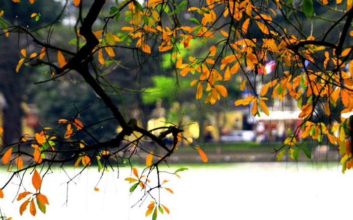 Thời tiết 2 ngày cuối kì nghỉ Tết đặc biệt ra sao? Ảnh 2