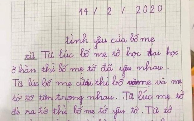 Bài văn tả 'tình yêu của bố mẹ' khiến dân mạng cười lăn, còn phụ huynh rơi vào trầm tư Ảnh 2
