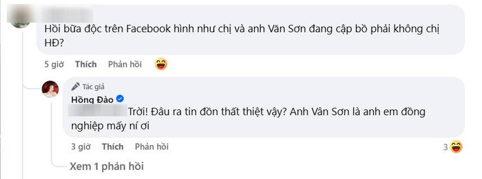 Nghệ sĩ Hồng Đào phản hồi tin đồn đang hẹn hò với đồng nghiệp. (Ảnh chụp màn hình)