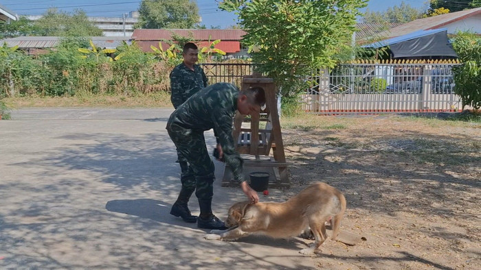Chó cưng mang món đồ lạ về nhà, người chủ hoảng hốt khi biết được sự thật Ảnh 3