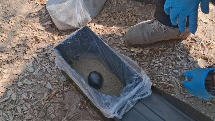 Chó cưng mang món đồ lạ về nhà, người chủ hoảng hốt khi biết được sự thật Ảnh 2