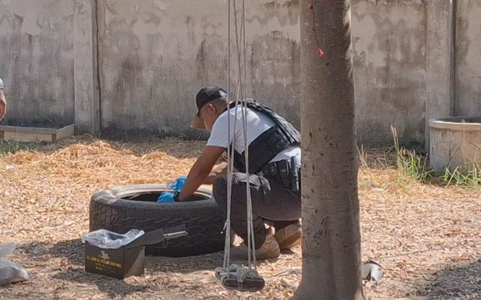 Chó cưng mang món đồ lạ về nhà, người chủ 'tái mặt' sau khi kiểm tra Ảnh 2