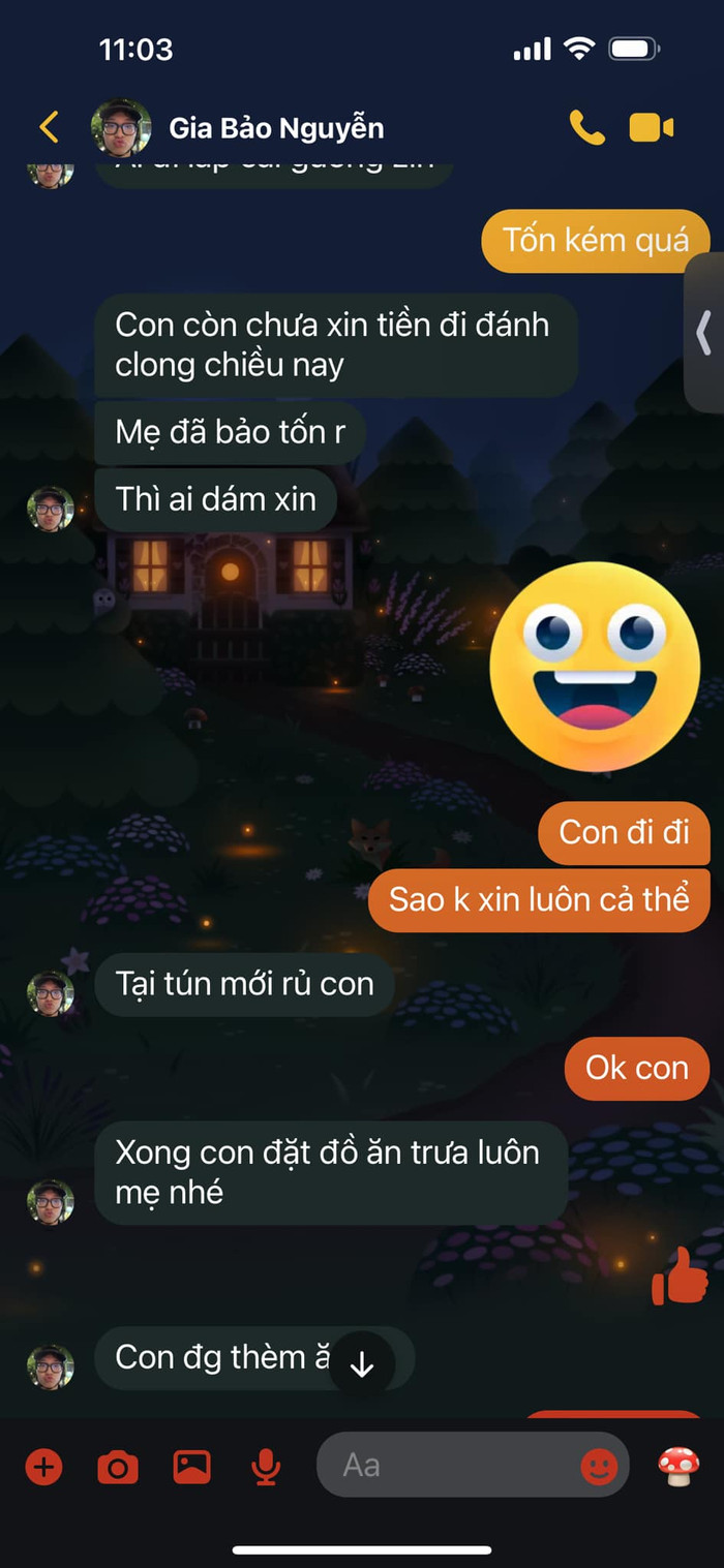 Màn xin tiền cực khéo của Tít - con trai MC Thảo Vân. Ảnh: FBNV