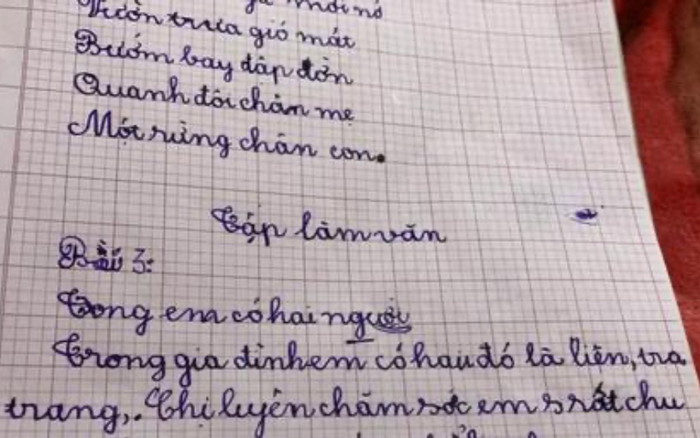 Bài văn tả chị gái chỉ vỏn vẹn 3 dòng, cô giáo được phen 'ngã ngửa' khi đọc nội dung Ảnh 2