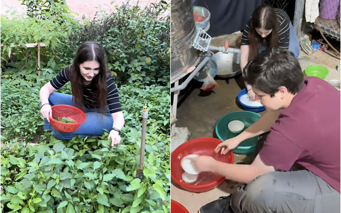 Dân mạng thích thú clip sinh viên Harvard về Việt Nam học rửa bát, vẩy rau Ảnh 2