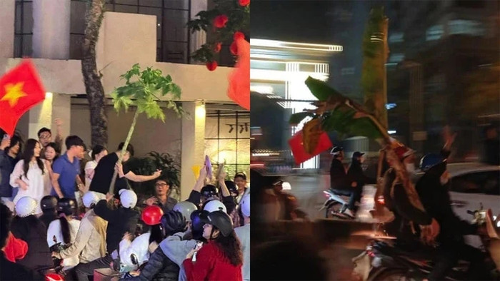 Những cái cây bị người hâm mộ mang đi 'bão', gây nhiều ý kiến trái chiều.