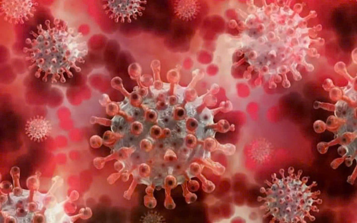 Ấn Độ ghi nhận ca nhiễm virus HMPV đầu tiên Ảnh 2