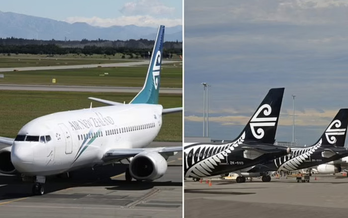 Máy bay va chim khiến động cơ phát nổ, hành khách kể lại giây phút kinh hoàng Ảnh 2