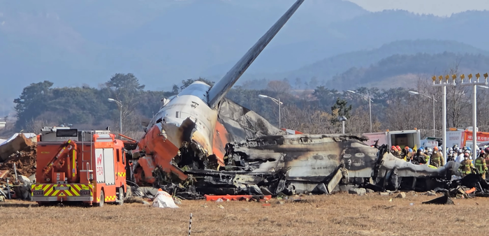 Vụ tai nạn nghiêm trọng của chuyến bay Jeju Air 2216 vào ngày 29/12/2024 vừa qua được cho là cũng có liên quan đến va chạm với chim.