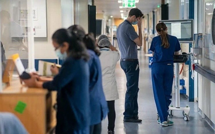 Thêm loại dịch bệnh đang hoành hành ở Hàn Quốc, số ca mắc kỷ lục trong 8 năm qua Ảnh 2