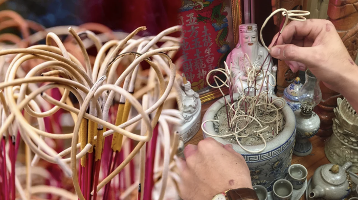 Tỉa chân hương cần để lại số lượng chân hương lẻ để cân bằng.