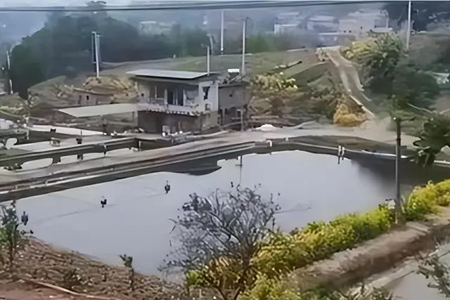 Ao cá của ông La. Ảnh: Sohu.