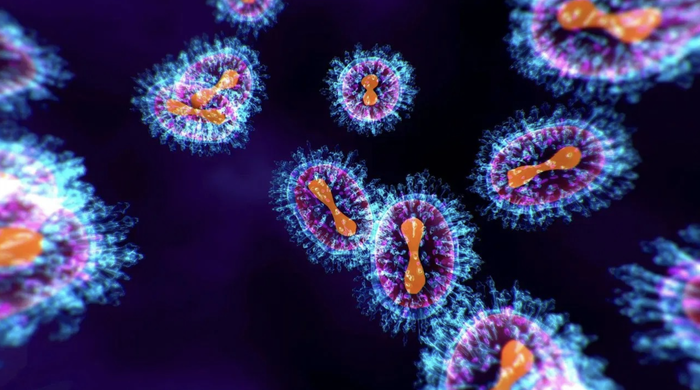 Metapneumovirus ở người (HMPV) có thể gây bệnh đường hô hấp trên và dưới ở mọi lứa tuổi.