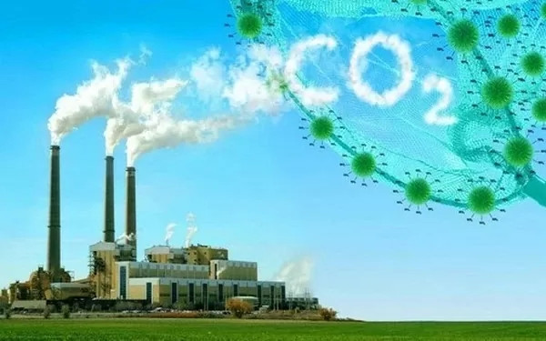 Cần khuyến khích doanh nghiệp giảm đến mức thấp nhất lượng phát thải carbon. Nguồn: VioT Group