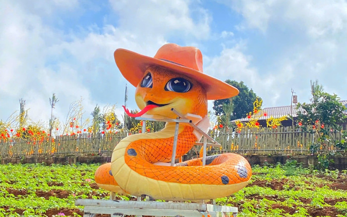 Linh vật rắn được mong đợi nhất gọi tên Quảng Trị: Không làm người hâm mộ thất vọng! Ảnh 2