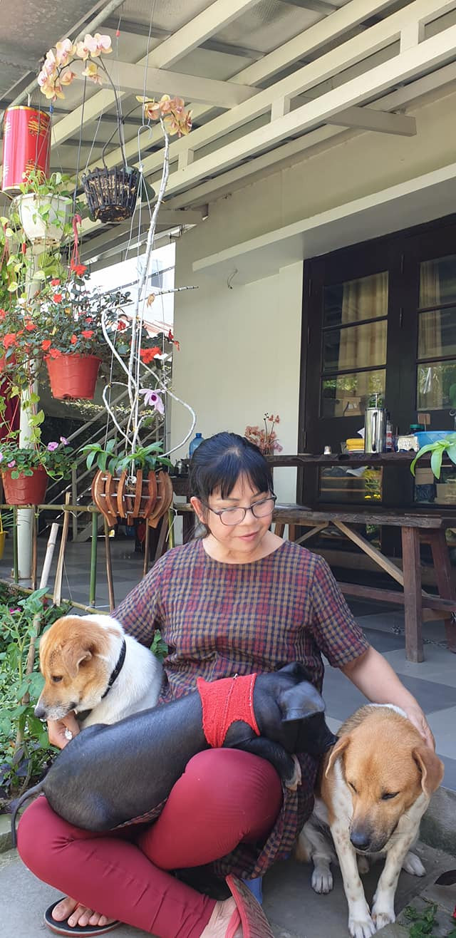 Cuộc sống bình yên của ca sĩ Ánh Tuyết tại Hội An. (Ảnh FBNV)