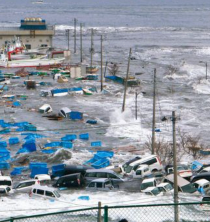 Bé gái mất tích trong thảm họa sóng thần 2011 được tìm thấy sau 14 năm, tình trạng gây đau lòng Ảnh 2