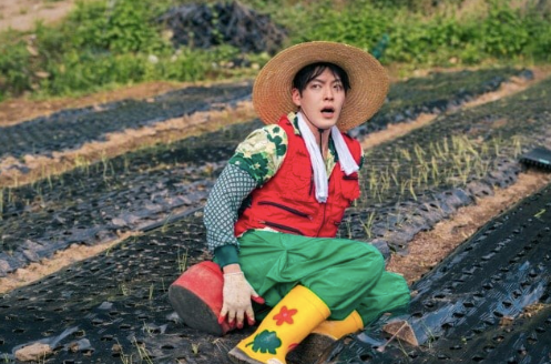 Suzy và Kim Woo Bin bị tẩy chay Ảnh 3