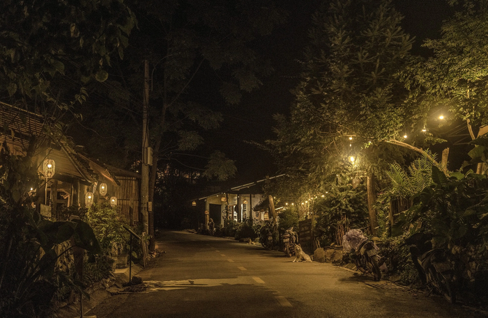 Con đường buổi tối tại làng Tả Van. Ảnh: VnExpress