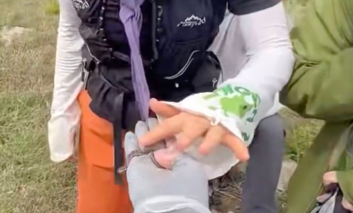 Người đàn ông nhặt sinh vật nhỏ màu xanh lên rồi để bạn bè vuốt ve, dân mạng rùng mình khi biết đó là loài cực độc Ảnh 3