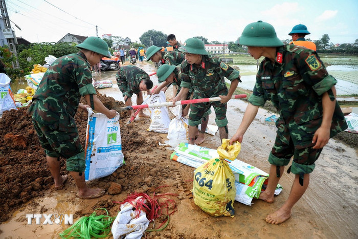 Cán bộ chiến sỹ Sư đoàn 3 (Quân khu 1) khẩn trương gia cố đê tại thôn Phú Cốc, xã Hợp Thịnh. (Nguồn: TTXVN)