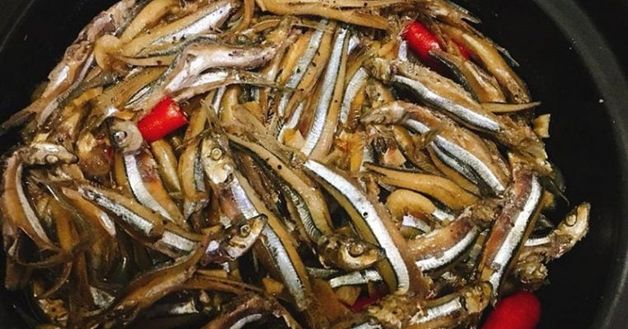 Mùa đánh bắt cá cơm than bắt đầu từ giữa tháng 7 âm lịch và kéo dài đến tận sau Tết. (Ảnh minh họa)