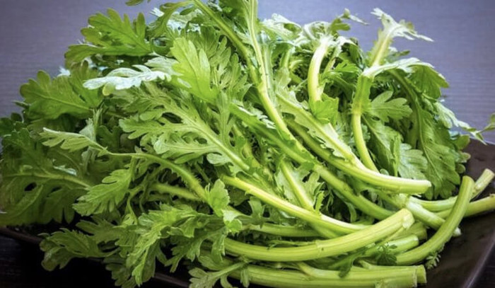 Hình dạng lá của cải cúc có nhiều nếp gấp khiến trứng ký sinh trùng dễ bám lại, đặc biệt là khu vực nối giữa cuống và lá. (Ảnh minh họa)