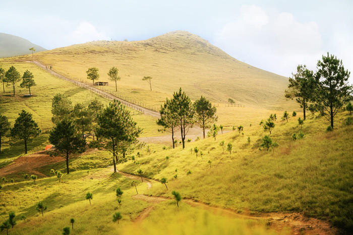 Đỉnh Phượng Hoàng - khung cảnh trời Âu tại Quảng Ninh Ảnh 1