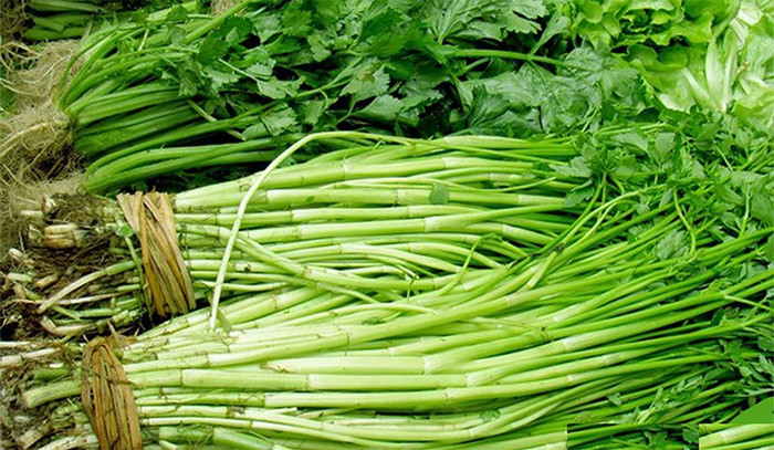 Sự kết hợp giữa tính hàn của rau cần và đồ ăn tanh khiến cơ thể dễ bị lạnh bụng, đau quặn, tiêu chảy. (Ảnh minh họa)