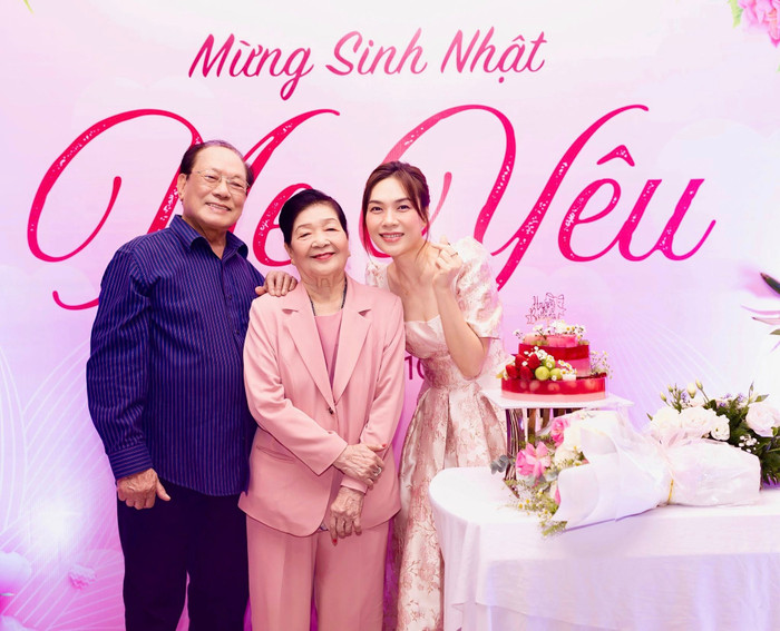 Lo lắng cho Mỹ Tâm Ảnh 4