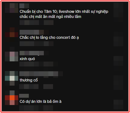 Lo lắng cho Mỹ Tâm Ảnh 2