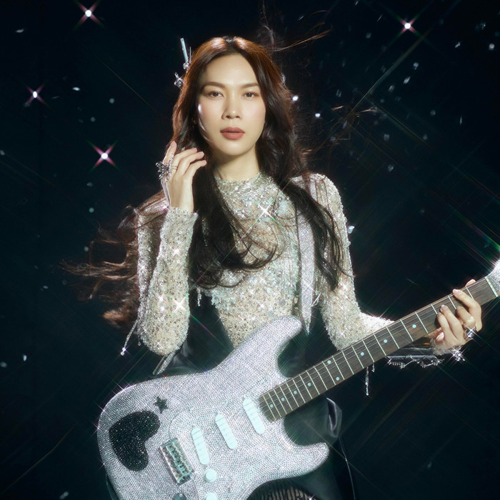 Lo lắng cho Mỹ Tâm Ảnh 3