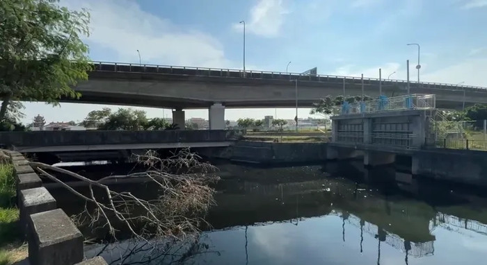 Con 'quái thú' khổng lồ ngồi chễm chệ trên phố, cảnh tượng khiến người dân xôn xao Ảnh 5