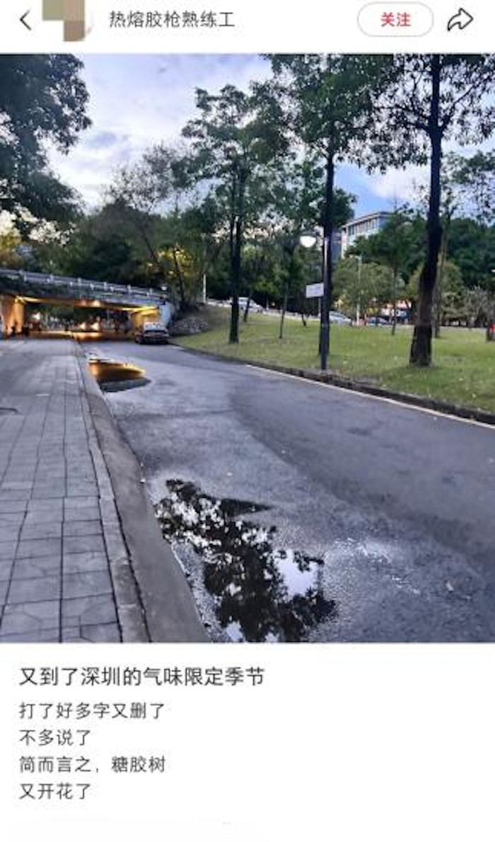 Cả thành phố bỗng xuất hiện mùi hôi nồng nặc, người dân say sẩm khi liên tục hít phải Ảnh 2