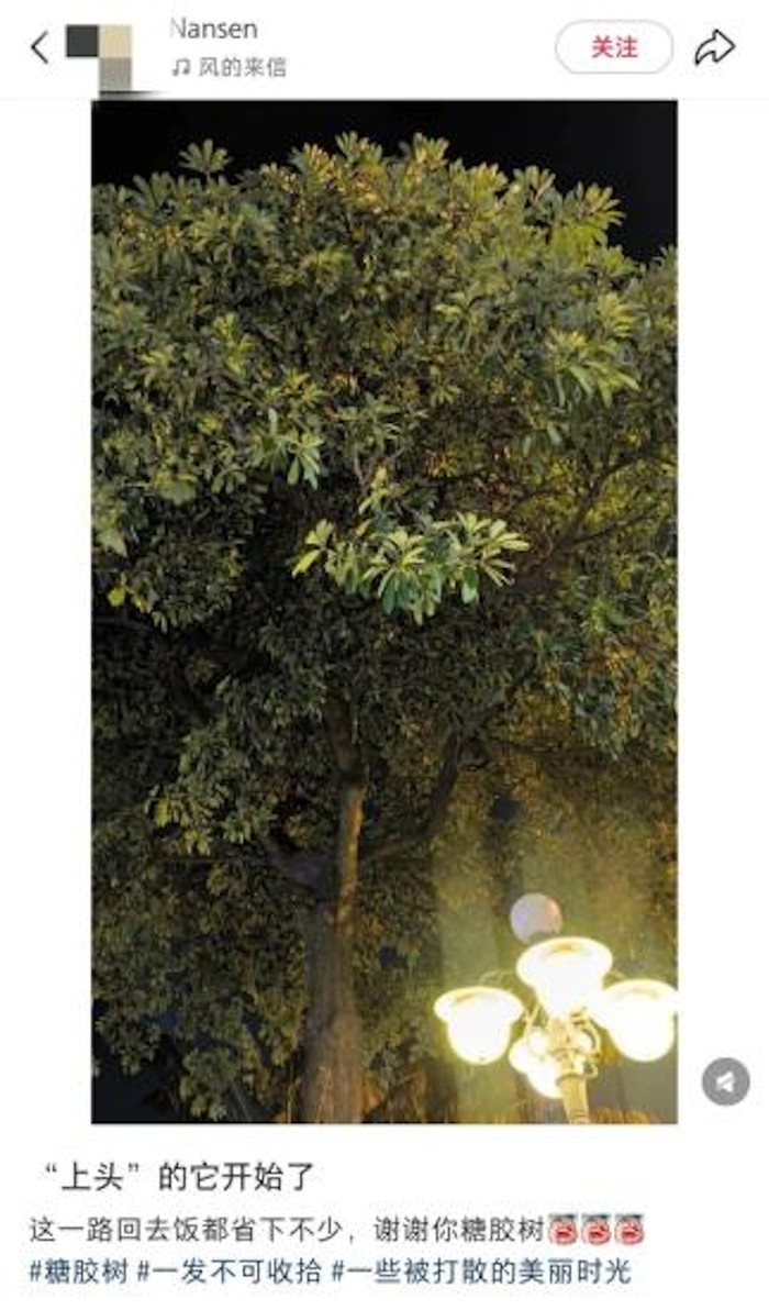 Cả thành phố bỗng xuất hiện mùi hôi nồng nặc, người dân say sẩm khi liên tục hít phải Ảnh 1