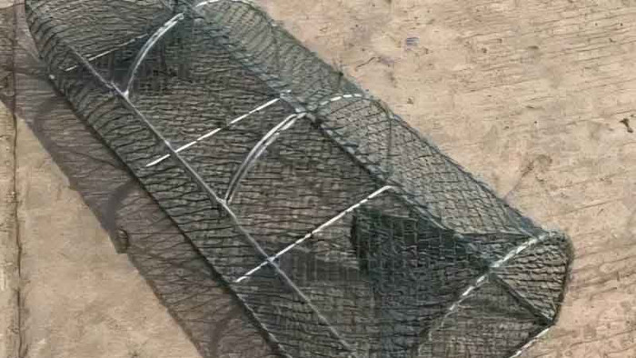 Nghĩ câu được con cá lớn, người đàn ông 69 tuổi kinh hoàng sau khi mở chiếc bẫy Ảnh 1