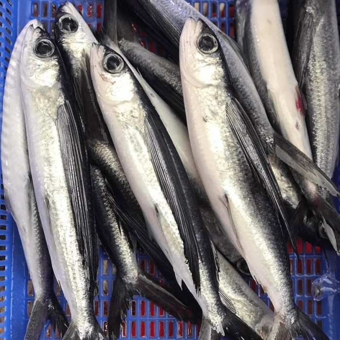 Loại cá gắn với tuổi thơ người miền Trung, bây giờ muốn mua phải đi chợ thật sớm Ảnh 4