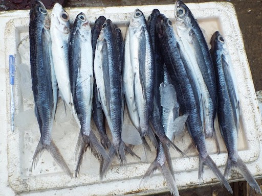 Loại cá gắn với tuổi thơ người miền Trung, bây giờ muốn mua phải đi chợ thật sớm Ảnh 2