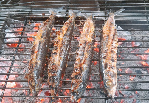 Loại cá gắn với tuổi thơ người miền Trung, bây giờ muốn mua phải đi chợ thật sớm Ảnh 5